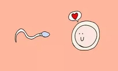 三代试管婴儿生出的孩子，跟正常人没有什么不同之处