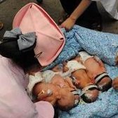 d2聚体高低影响试管移植吗？