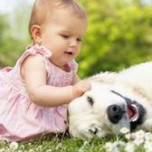 石家庄哪个医院能做三代试管？哪个医院技术水平好？