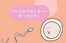 囊胚移植6天白板，别急！未必是坏事