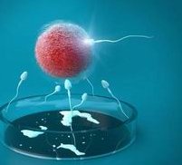 试管婴儿当月移植成功率是多少？影响试管当月移植成功率的因素有哪些？