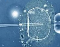 2026年龙岩市医院试管费用要多少钱？附费用明细！