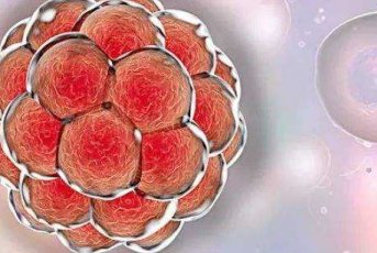 45岁失独做试管成功案例？失独试管也有条件要求